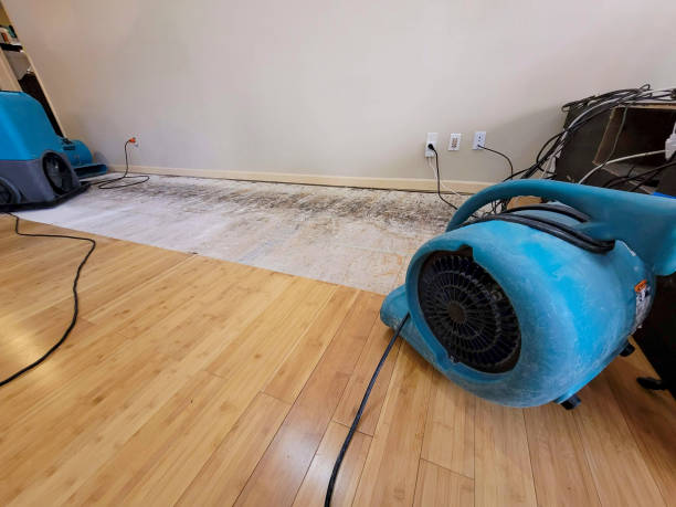 Professional Structural Drying technician working in Collegeville, PA